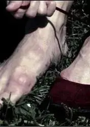《红鞋子》：欲望与救赎的暗黑童话，颠覆你的想象