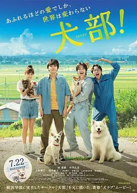 《犬部！》：人与狗狗的温暖羁绊，感动治愈的动物电影