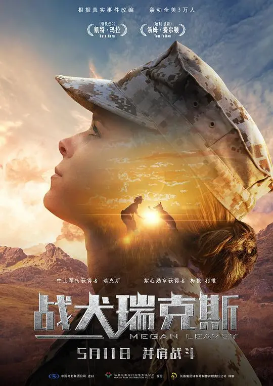 《战犬瑞克斯》：军犬的忠诚与奉献，跨越战火的感人故事
