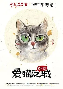 爱猫之城：土耳其伊斯坦布尔的猫咪奇遇记，人与猫的温情叙事