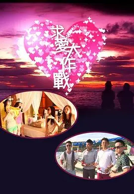 2013浪漫喜剧《求爱大作战》：爱情冒险与幽默的完美融合