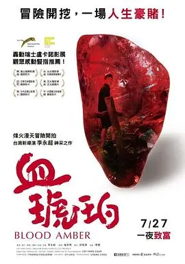 《血琥珀》：揭秘神秘古董背后的阴谋与救赎，惊悚悬疑之旅