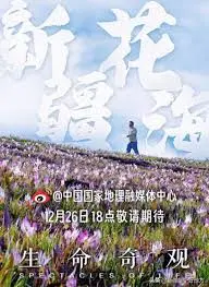 《生命奇观》：震撼心灵的自然史诗，探索生命的奥秘