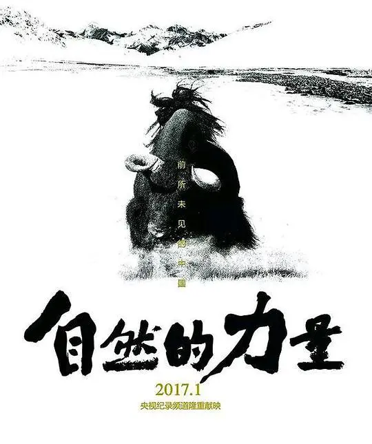 《自然的力量》：风暴下的生死抉择，<a href='/cat-7/41' target='_blank'>伊斯坦布尔</a>版硬汉营救