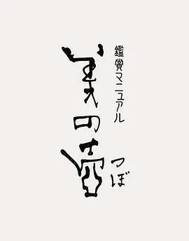 《美之壶》：探索隐藏在日常中的美，感受日本文化的精髓与侘寂之美