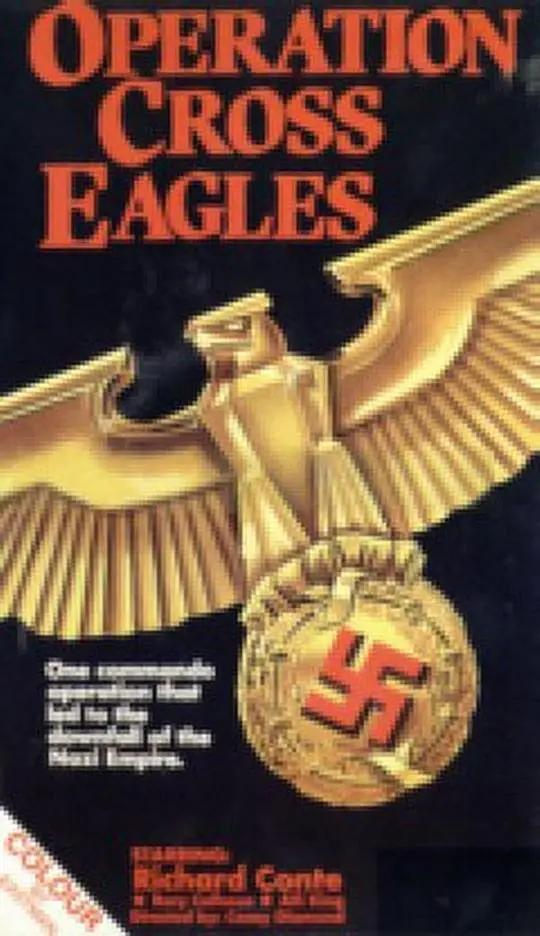 揭秘《十字鹰行动》：间谍世界的惊心动魄与英雄较量