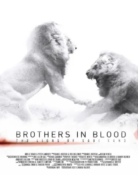 《狮王之路》：权力、背叛与荣耀交织的史诗，揭示王权背后的血泪与抉择