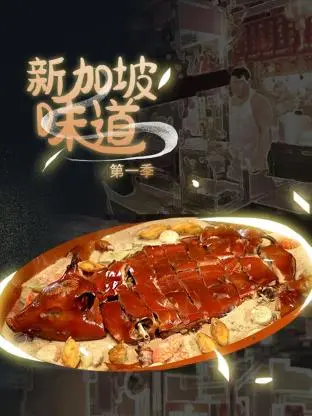 《新加坡味道》：舌尖上的南洋风情，一口解锁多元文化的美食史诗