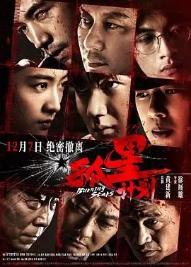 《孤星计划》：一部让人泪奔的狗狗电影，历史重温温情脉脉！
