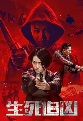 《生死追凶》：一场酣畅淋漓的复仇电影，揭秘人性深渊与正义的终极较量